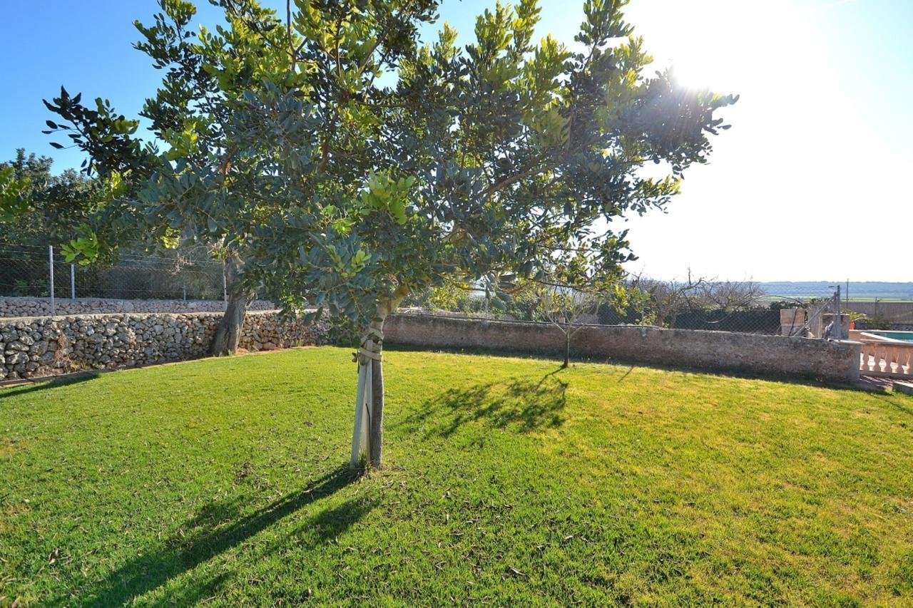 078 Finca Sa Rota Vt1953 By Mallorca Charme Ariany Esterno foto